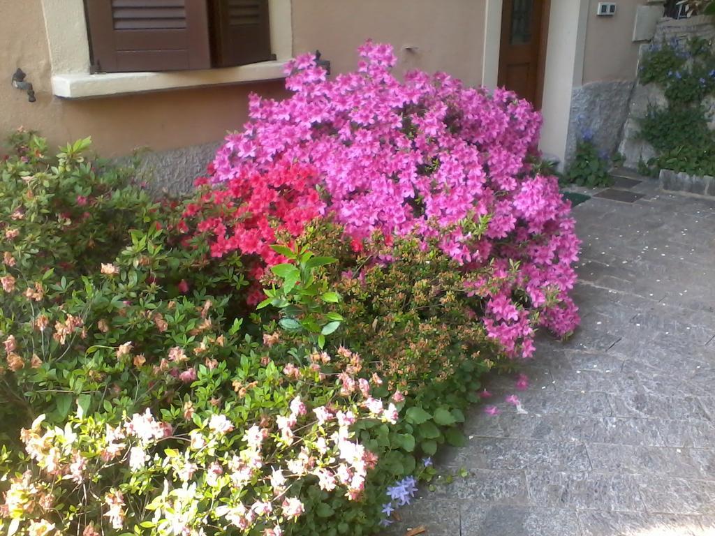 Casa Margherita Como Exterior foto